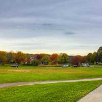 Trees and fall colors in Madison, Wisconsin
