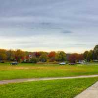 Trees and fall colors in Madison, Wisconsin