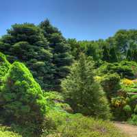 Trees and landscape in Madison, Wisconsin