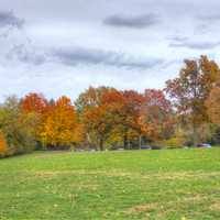 Trees in fall bloom in Madison, Wisconsin