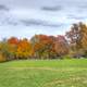 Trees in fall bloom in Madison, Wisconsin