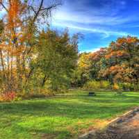 Autumn Trees at Merrick State Park, Wisconsin