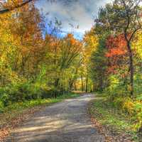 Path inside the park at Merrick State Park, Wisconsin