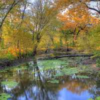 Small autumn stream at Merrick State Park, Wisconsin