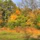 Trees in the fall at Merrick State Park, Wisconsin