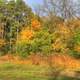 Trees in the fall at Merrick State Park, Wisconsin