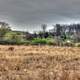 Fields and house on the Military Ridge State Trail