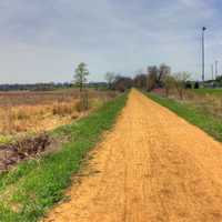 Straight Path on the Military Ridge State Trail