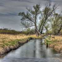 Trees spreading across the river on the Military Ridge State Trail