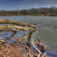 Trees fallen in the water on the Military Ridge State Trail