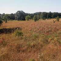 Fields at Mill Bluff at Mill Bluff State Park, Wisconsin