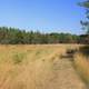 Hiking path through field at Mill Bluff State Park, Wisconsin