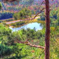 Pond and landscape at Mill Bluff State Park, Wisconsin