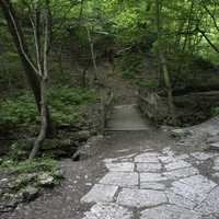 Bridges and steps on the seven bridges trail