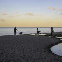 People on the Lake Michigan Beach