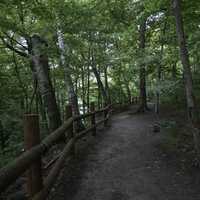 Railing and hiking trail on the path