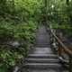 Stairs down to the lake Michigan beach