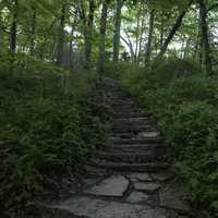 Stone steps going up 