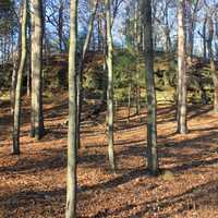 Forest and rock at Mirror Lake State Park, Wisconsin