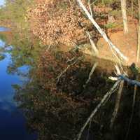 Lake reflection at Mirror Lake State Park, Wisconsin