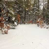 Snowy trail at Mirror Lake State Park, Wisconsin