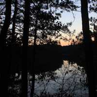 Sunset behind trees at Mirror Lake State Park, Wisconsin