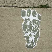 Troll Footprint on the sidewalk in Mount Horeb