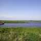 Landscape with marsh and boardwalk