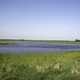 Landscape with Pond and sky and Marsh