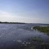 Pond and marsh landscape at Necedeh Wildlife Refuge