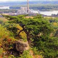 Tree view at Nelson Dewey State Park, Wisconsin