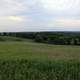 Fields at New Glarius Woods, Wisconsin