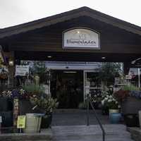 Floral Shop front door in New Glarus