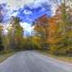 Wonderful Fall Leaves at Newport State Park, Wisconsin