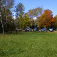 Fall Leaves in the Parking Lot at Newport State Park, Wisconsin