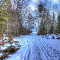 Into the woods at Newport State Park, Wisconsin