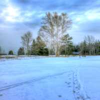 Landscape of snow at Newport State Park, Wisconsin