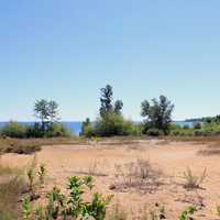 Park Landscape at Newport State Park, Wisconsin