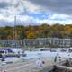 Forest behind the Marina in Egg Harbor, Wisconsin