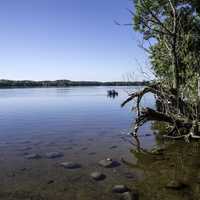 Shoreline of Lake in Northern Wisconsin