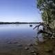 Shoreline of Lake in Northern Wisconsin