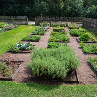 Large Garden in the Yard