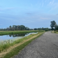 Bark River Shoreline Scenery