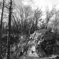 Black and White of Rock and trees at Quincy Bluff, Wisconsin