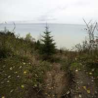 Bluff looking downwards towards lake Michigan