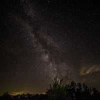 Bright Milky Way above the treetops at Meadow Valley