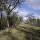 Hiking Trail with trees on a good day at Quincy Bluff, Wisconsin