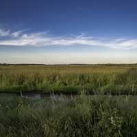 Marsh landscape to the Horizon under the sky at Meadow Valley