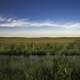 Marsh landscape to the Horizon under the sky at Meadow Valley