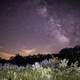 Milky Way over the trees at Meadow Valley